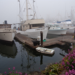 Hatteras Island Docks