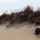 obx photo 6