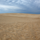 obx photo 10